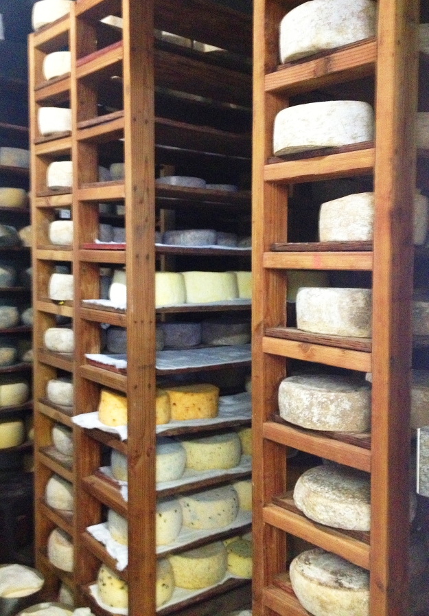 Cheese at Rancho Cortes