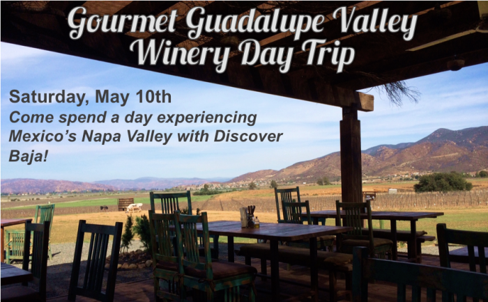 Discover Baja Guadalupe Valley Trip